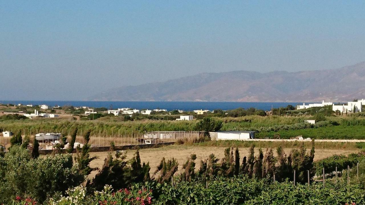 Villa Kampos Naousa-Marpisa Амбелас Екстериор снимка