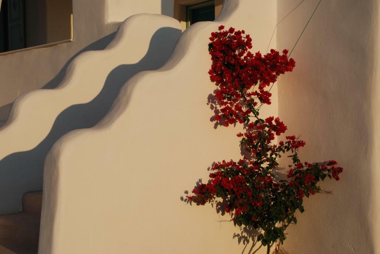 Villa Kampos Naousa-Marpisa Амбелас Екстериор снимка