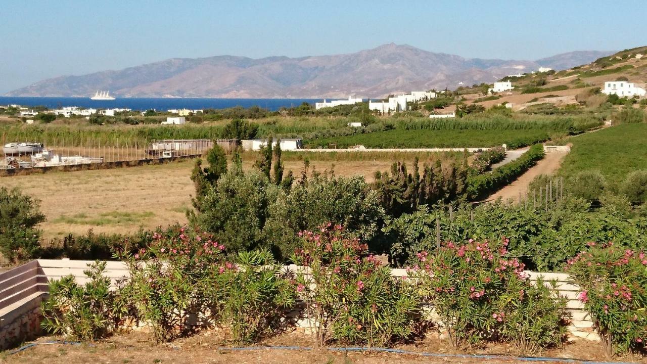 Villa Kampos Naousa-Marpisa Амбелас Екстериор снимка
